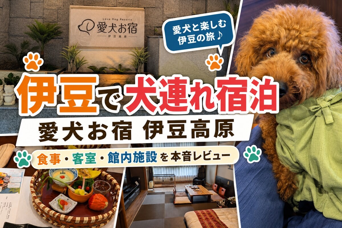 愛犬お宿 伊豆高原に愛犬と宿泊し、食事・客室・館内施設を紹介する体験レポート