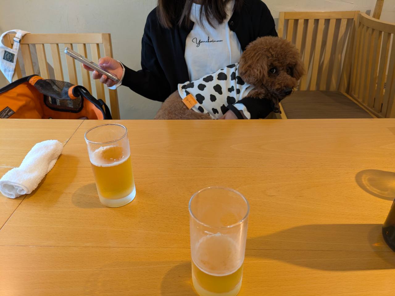 麻布あみ城の店内で愛犬を抱っこしながらビールを楽しむ様子。牛柄の服を着たトイプードルが膝の上で過ごしている