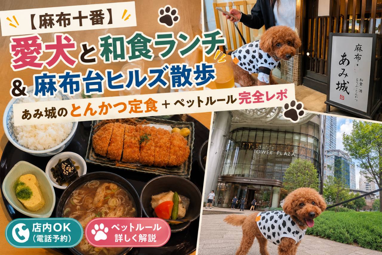 麻布あみ城のとんかつ定食と麻布台ヒルズ散歩を愛犬と楽しんだ体験レポート