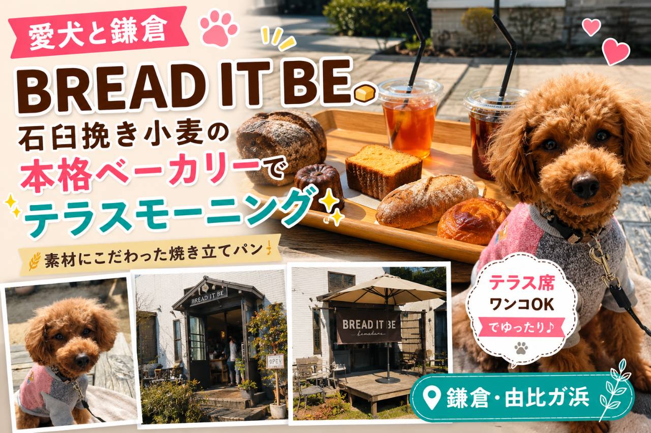 【愛犬と鎌倉】BREAD IT BE｜石臼挽き小麦の本格ベーカリーでテラスモーニング