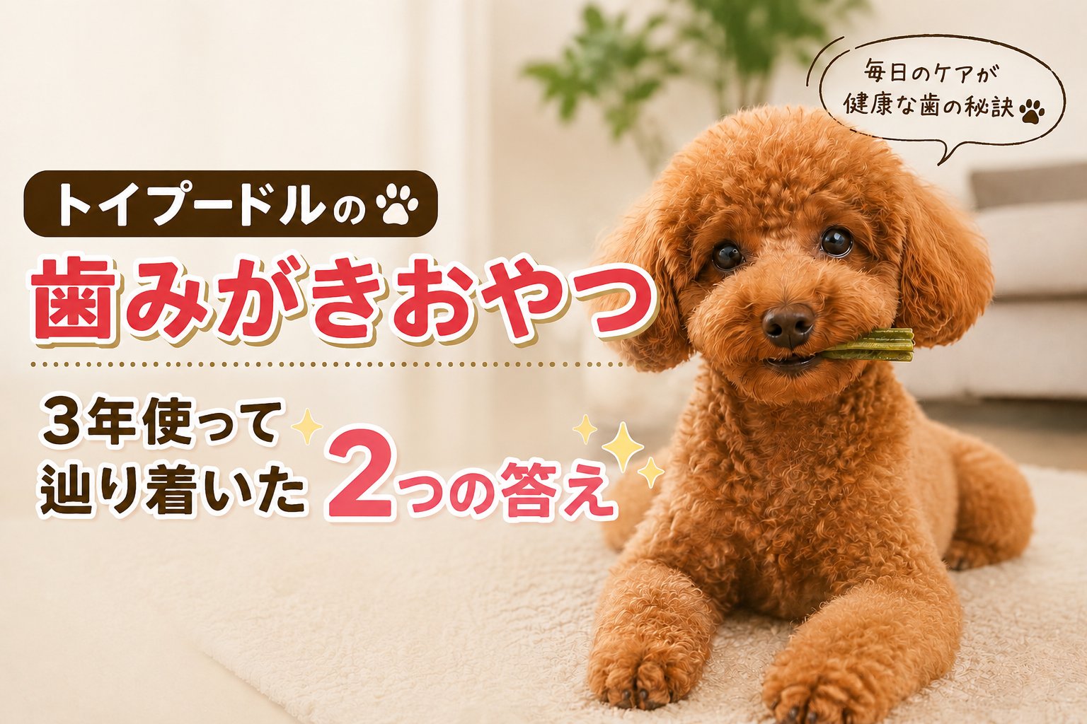 トイプードルの歯みがきおやつを紹介する記事サムネイル