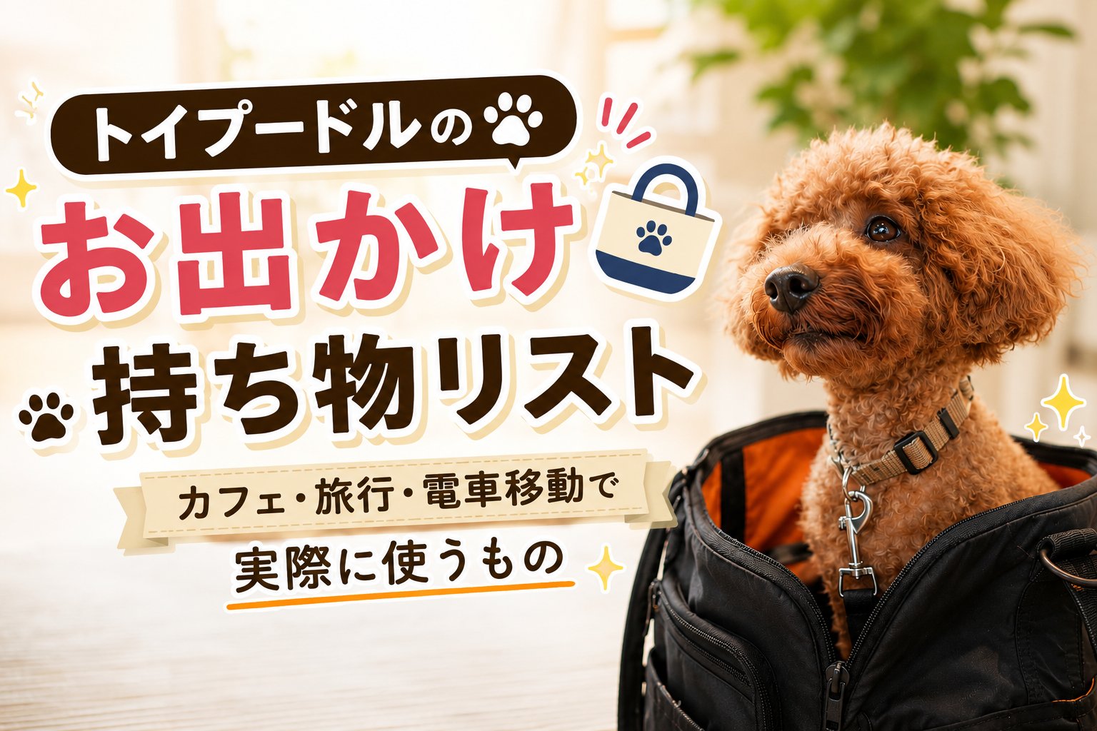 トイプードルのお出かけ持ち物リスト