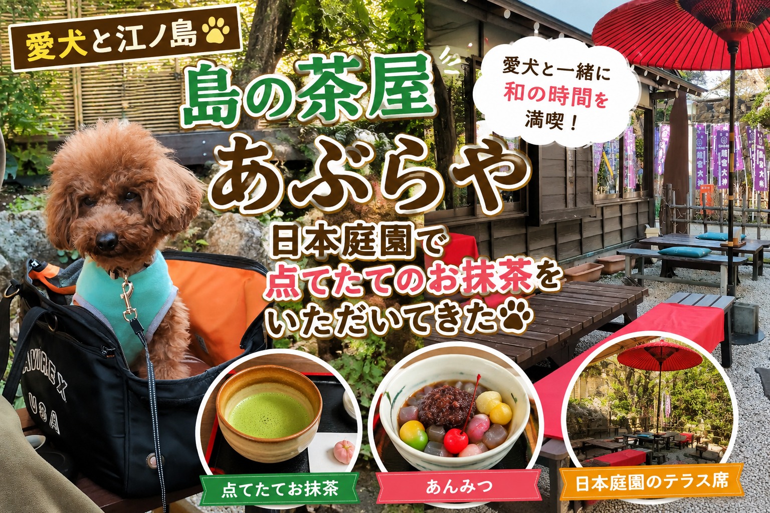 愛犬と江ノ島の島の茶屋あぶらやを紹介するサムネイル