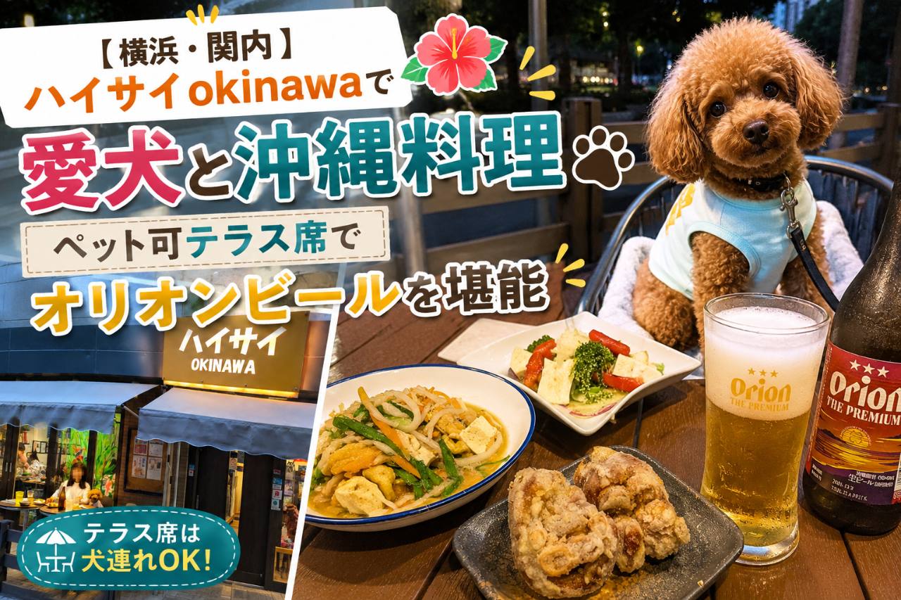 ハイサイokinawaで愛犬と沖縄料理を楽しんだ体験レポート