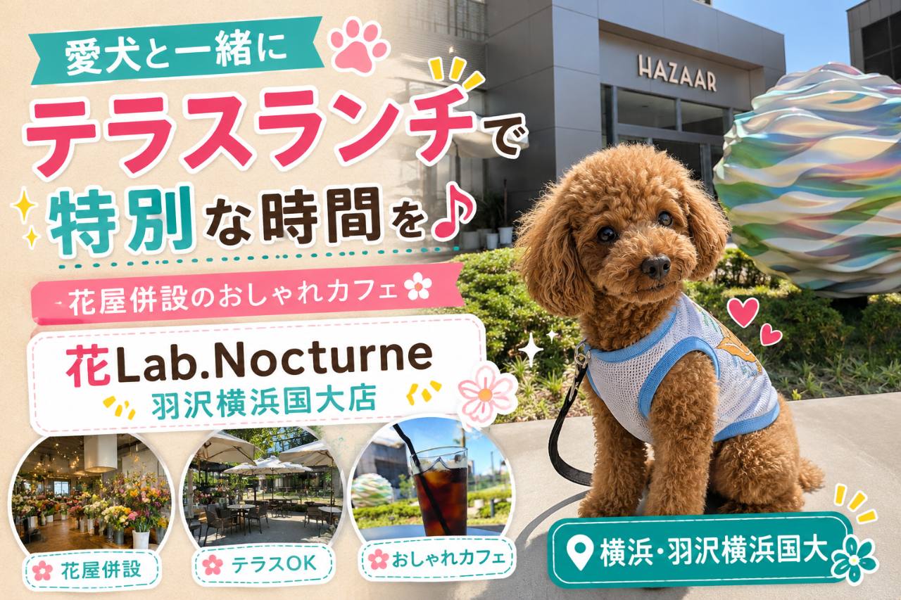 【愛犬とテラスランチ】花Lab.Nocturne 羽沢横浜国大店｜花屋併設のおしゃれカフェ