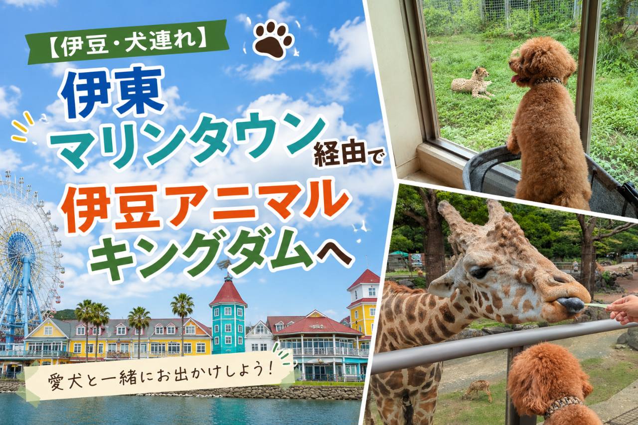 伊東マリンタウンと伊豆アニマルキングダムを愛犬と巡った体験記事