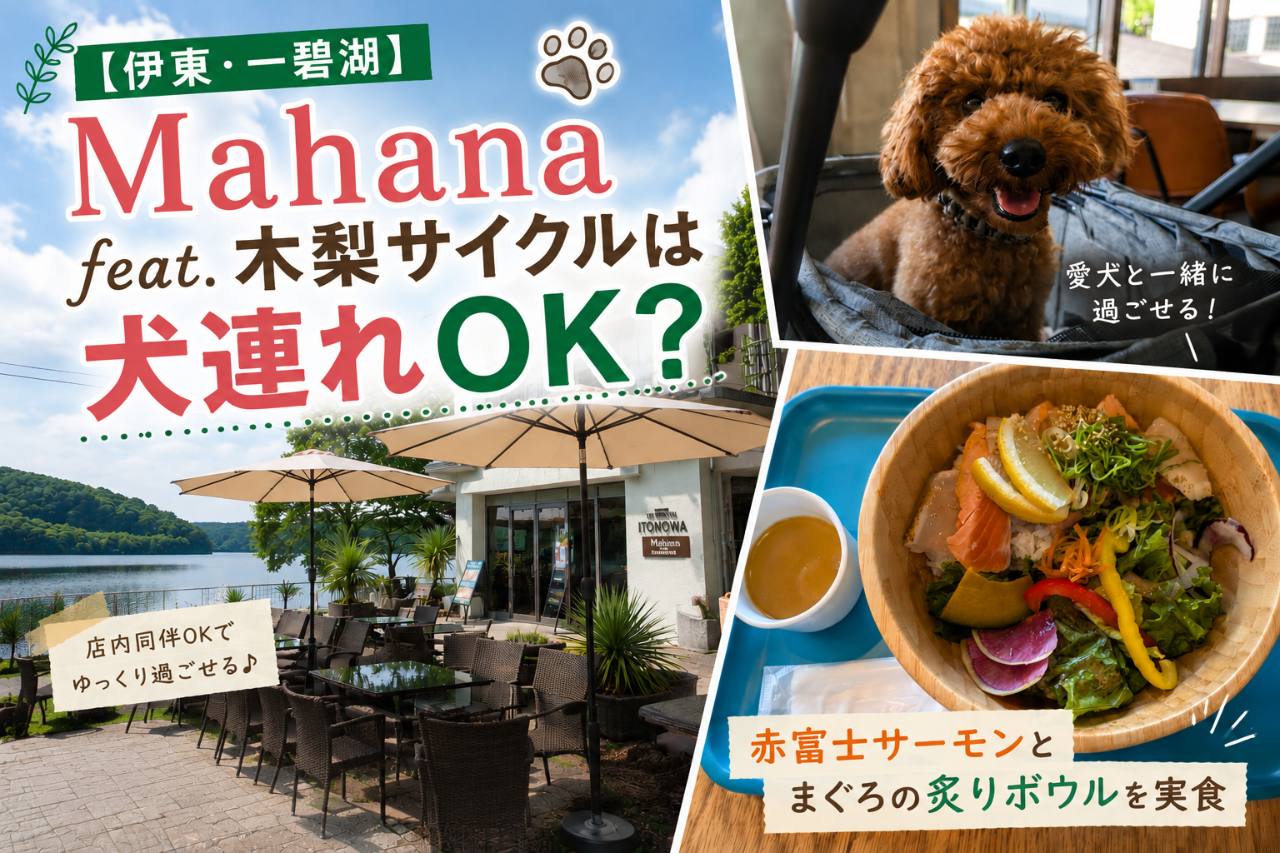 一碧湖のMahana feat.木梨サイクルで愛犬と店内ランチを楽しむ体験レポート