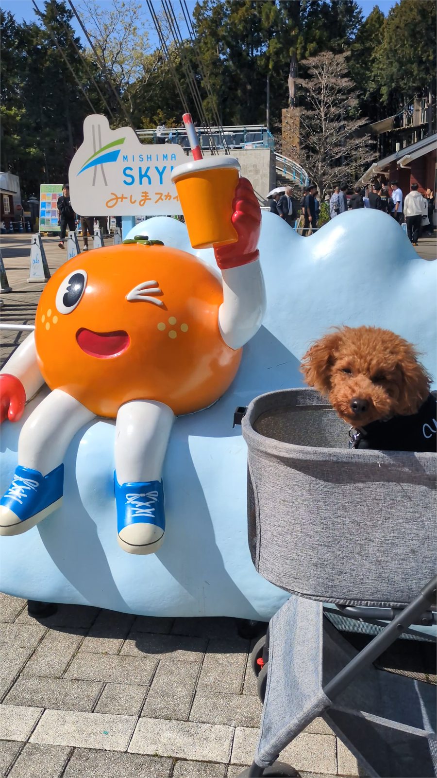 三島スカイウォーク内のマスコットと記念撮影するトイプードルの愛犬