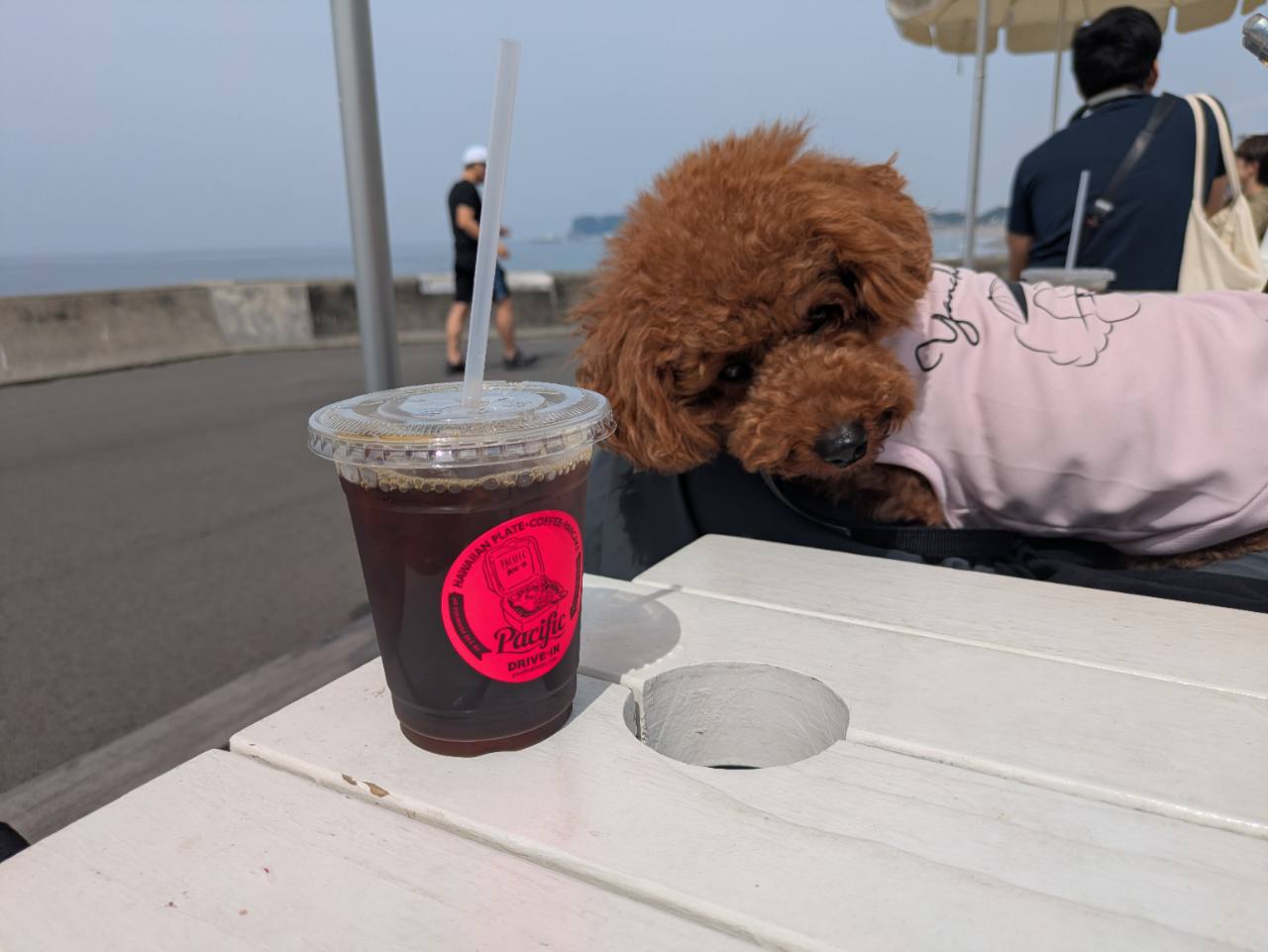 Pacific DRIVE-INのテラス席で海を眺めながら過ごすトイプードルとアイスドリンク