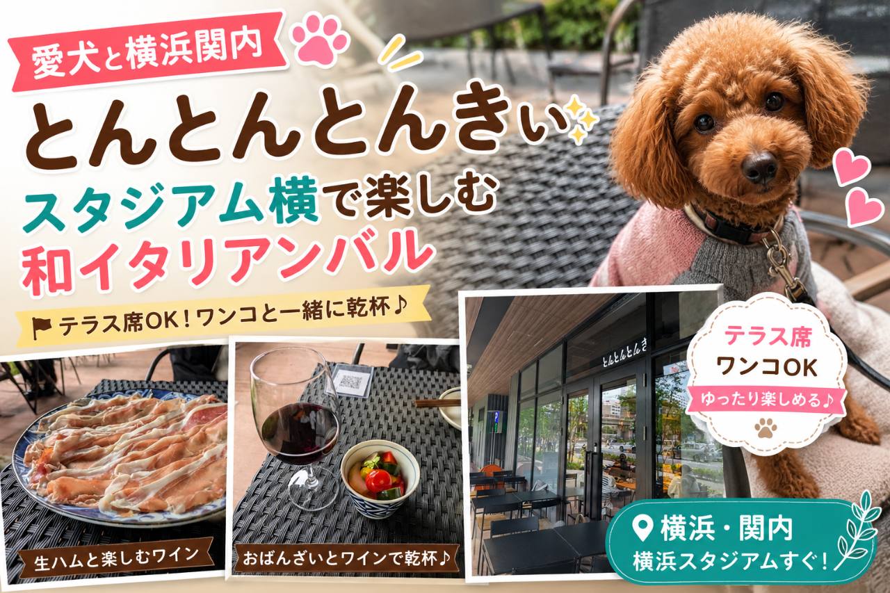 【愛犬と横浜関内】とんとんとんきぃ｜スタジアム横で楽しむ和イタリアンバル