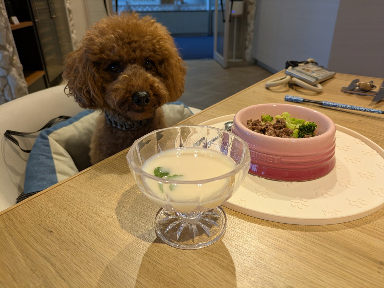 鹿肉の角煮とヤギミルクの愛犬用ディナー