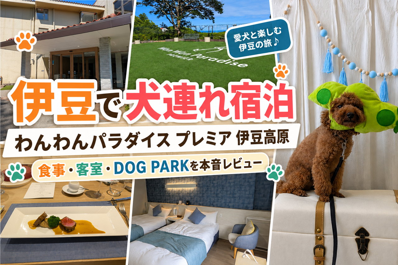 伊豆で愛犬とわんわんパラダイス プレミア 伊豆高原に宿泊した体験レポート