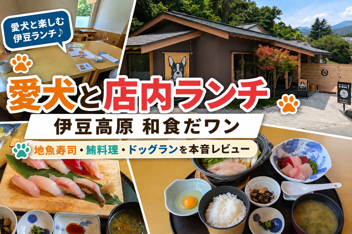 和食だワンの外観と店内、握り寿司とマグロの小鍋付き御膳