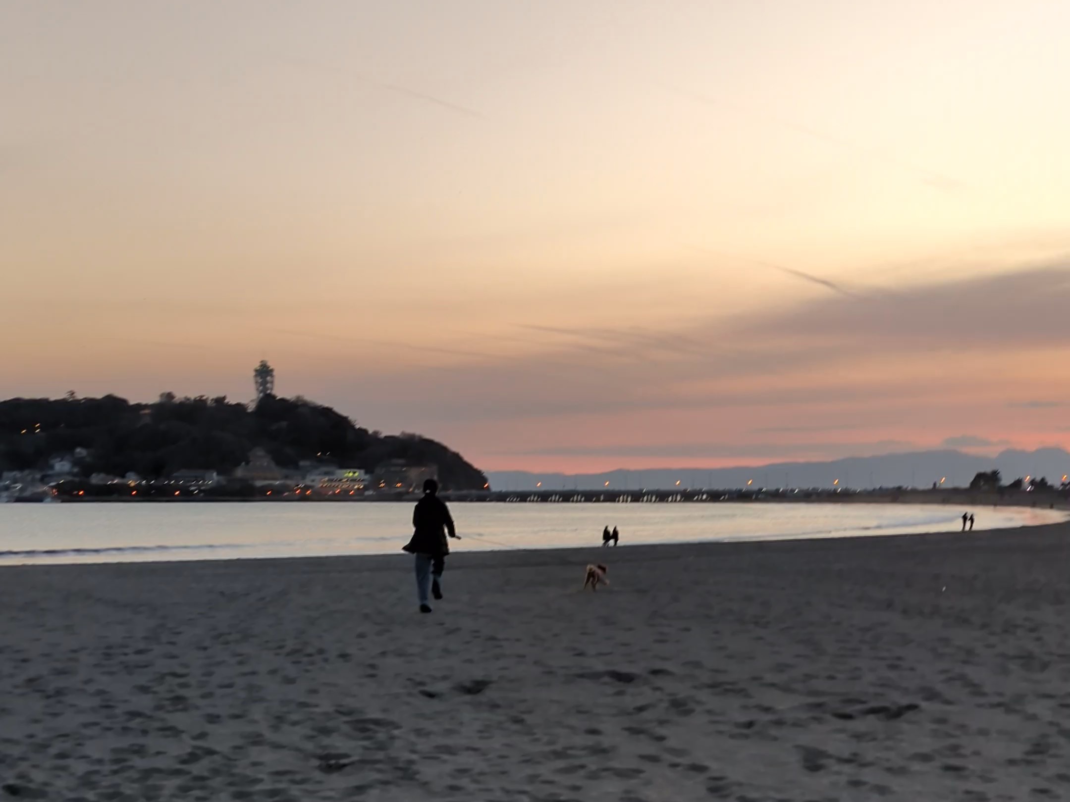 夕暮れの七里ヶ浜を愛犬と歩くシルエット